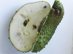 Soursop Graviola Health